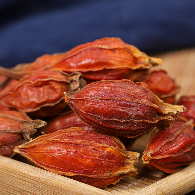 Fruit of Cape Jasmine · Fructus Gardeniae · Zhi Zi · 栀子