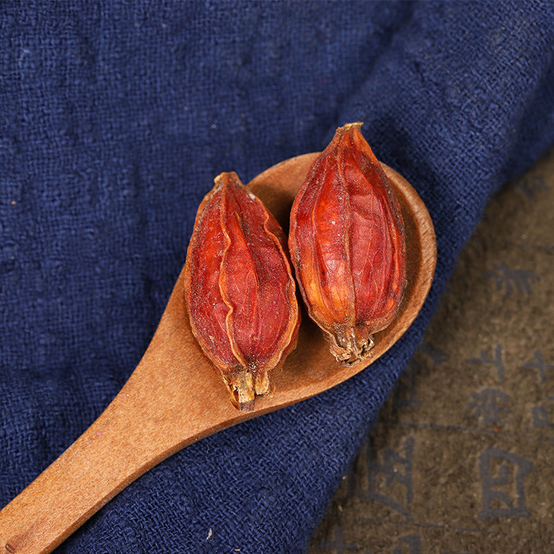 Fruit of Cape Jasmine · Fructus Gardeniae · Zhi Zi · 栀子