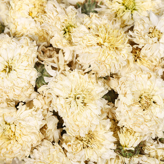 Chrysanthemum Flower/Flos Chrysanthemi/Ju Hua/菊花 - HerbalWorld