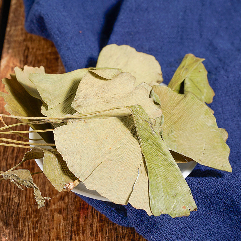 Ginkgo Leaf · Folium Ginkgo · Yin Xing Ye · 银杏叶