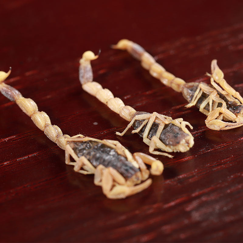 Scorpion/Buthus Martensi/Quan Xie/全蝎 - HerbalWorld