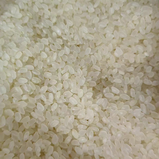 Rice · Oryza Sativa · Jing Mi · 粳米