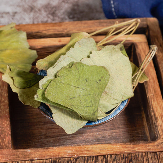 Ginkgo Leaf · Folium Ginkgo · Yin Xing Ye · 银杏叶