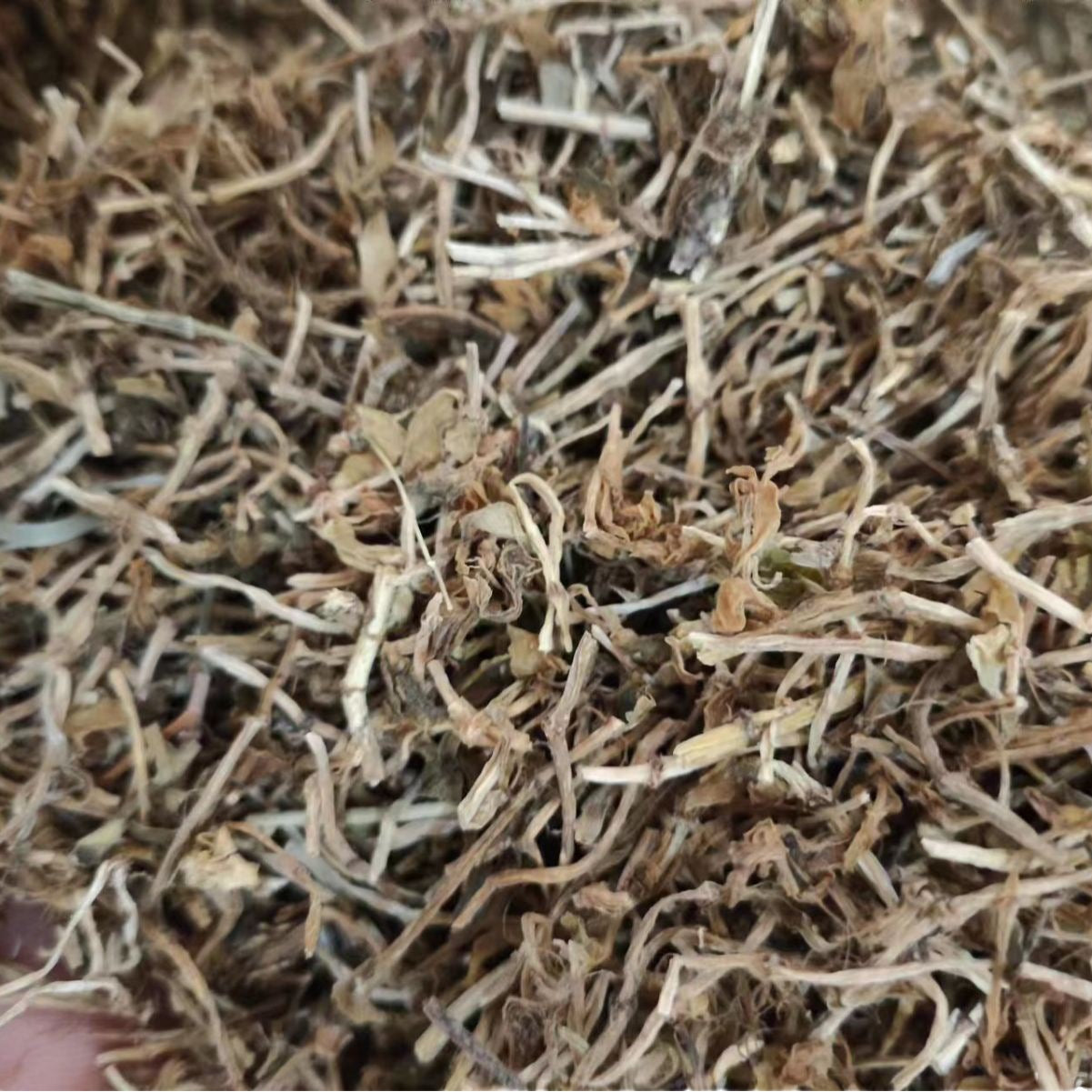 All-Grass of Stringy Stonecrop · Herba Sedi Sarmentosi · Chui Pen Cao · 垂盆草