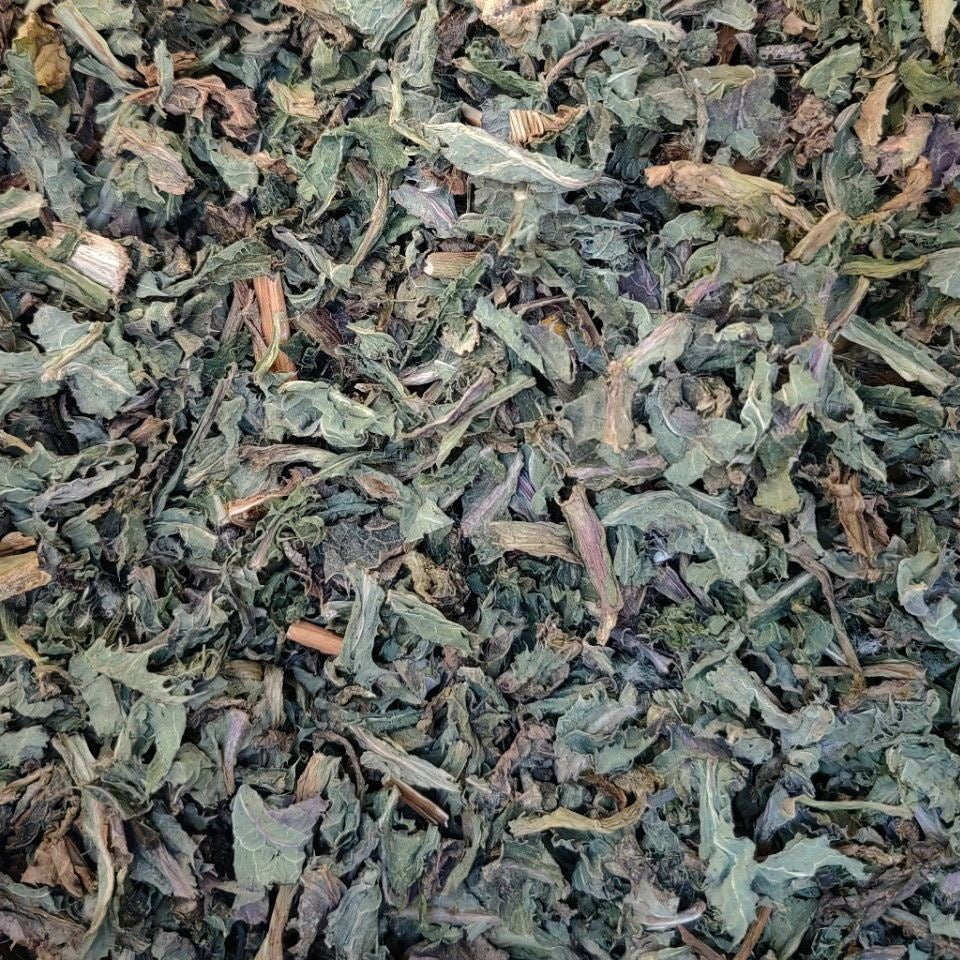 Field Thistle Herb/Herba Cirsii/Xiao Ji/小蓟 - HerbalWorld