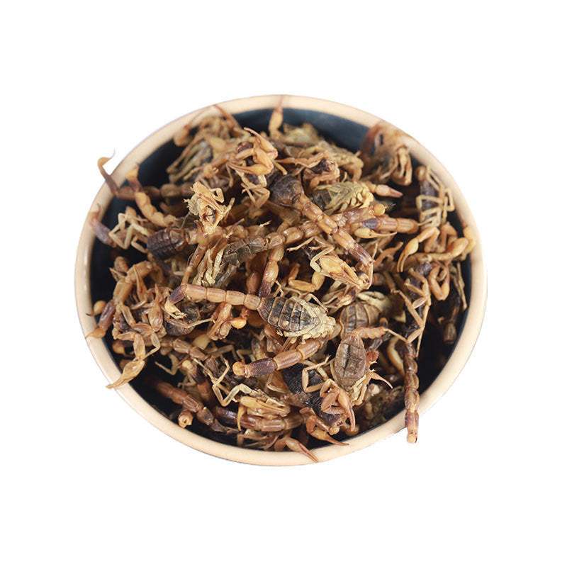 Scorpion/Buthus Martensi/Quan Xie/全蝎 - HerbalWorld