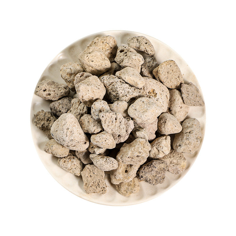 Pumice/Pumex/Hai Fu Shi/海浮石 - HerbalWorld