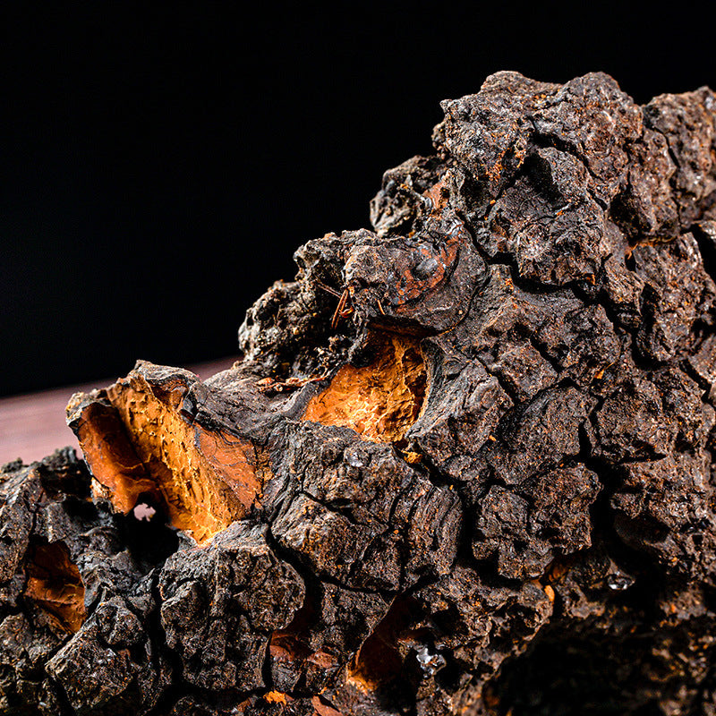 Chaga Mushroom/Inonotus Obliquus/Hua Shu Rong/桦树茸 - HerbalWorld