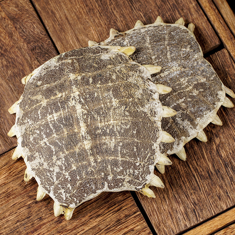 Turtle Shell · Carapax Trionycis · Bie Jia · 鳖甲