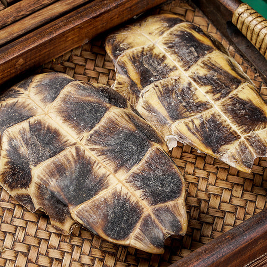Tortoise Shell/Carapax Et Plastrum Testudinis/Gui Jia/龟甲 - HerbalWorld