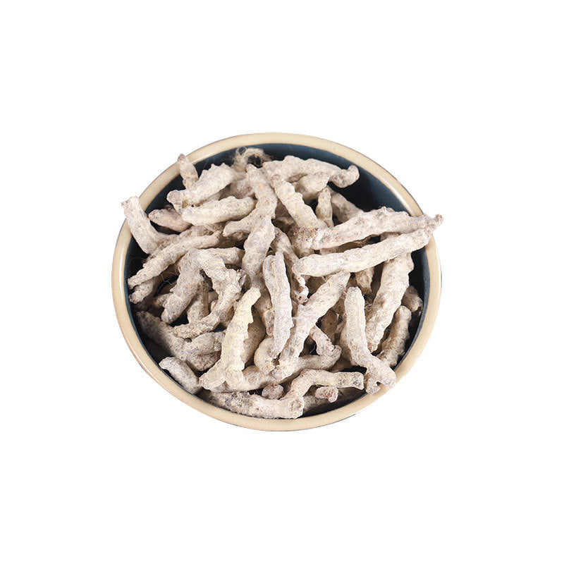 Stiff Silkworm/Bombyx Batryticatus/Jiang Can/僵蚕 - HerbalWorld