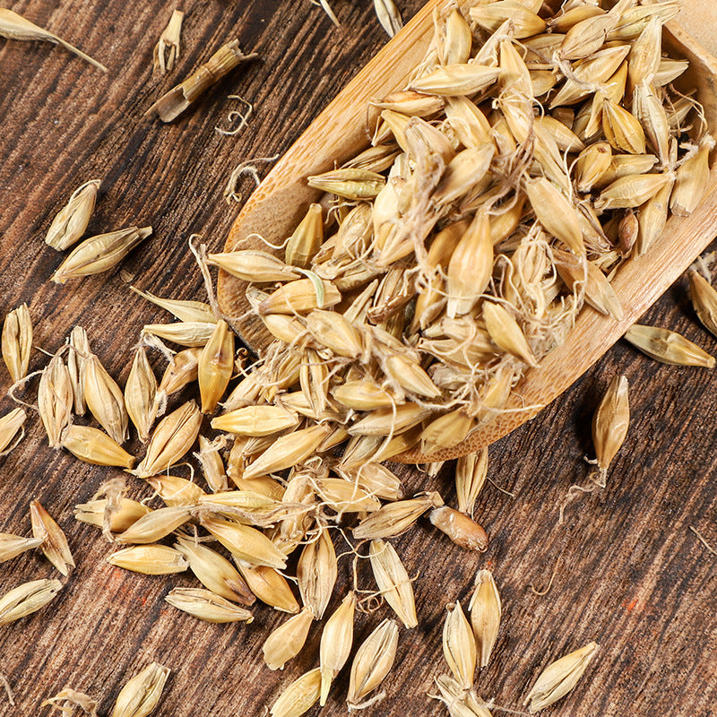 Germited Barley/Fructus Hordei Germitus/Mai Ya/麦芽 - HerbalWorld