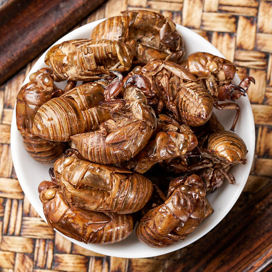 Cicada Slough · Periostracum Cicadae · Chan Tui · 蝉蜕