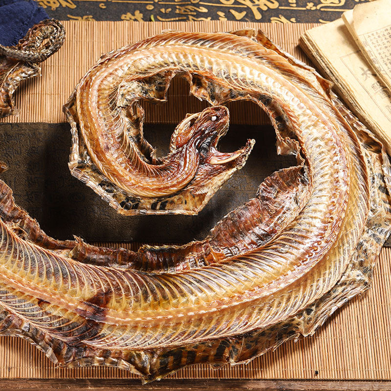 Long-Noded Pit Viper · Agkistrodon · Qi She · 蕲蛇