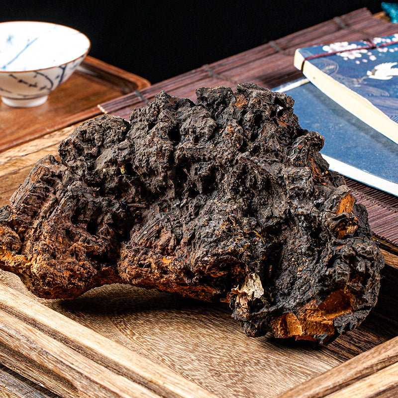 Chaga Mushroom/Inonotus Obliquus/Hua Shu Rong/桦树茸 - HerbalWorld